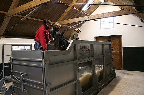 Activo-Med Equine Water Treadmill
